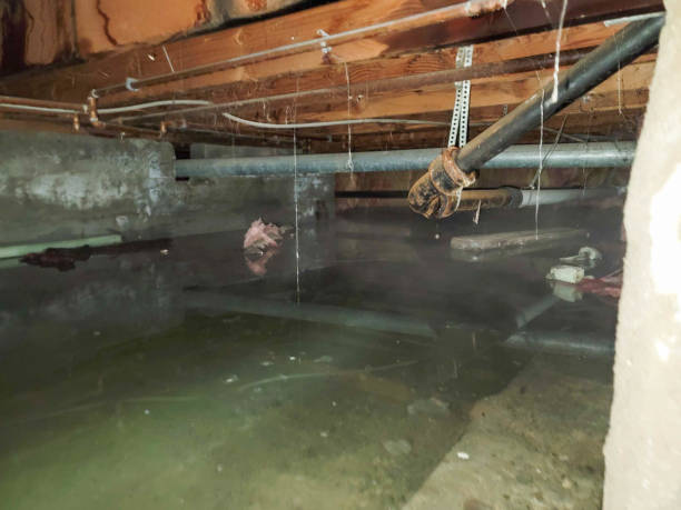 Best 24-hour water damage restoration  in Wolf Lake, MI