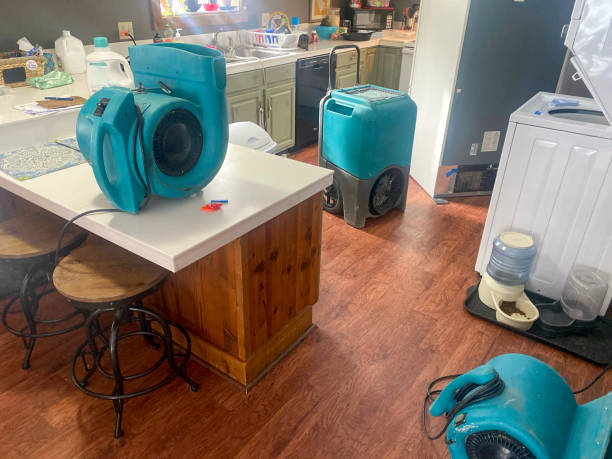 Best Sewage cleanup and water damage restoration  in Wolf Lake, MI