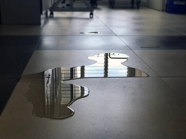 Best Professional water damage repair  in Wolf Lake, MI