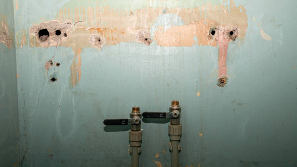 Best Flood damage cleanup  in Wolf Lake, MI
